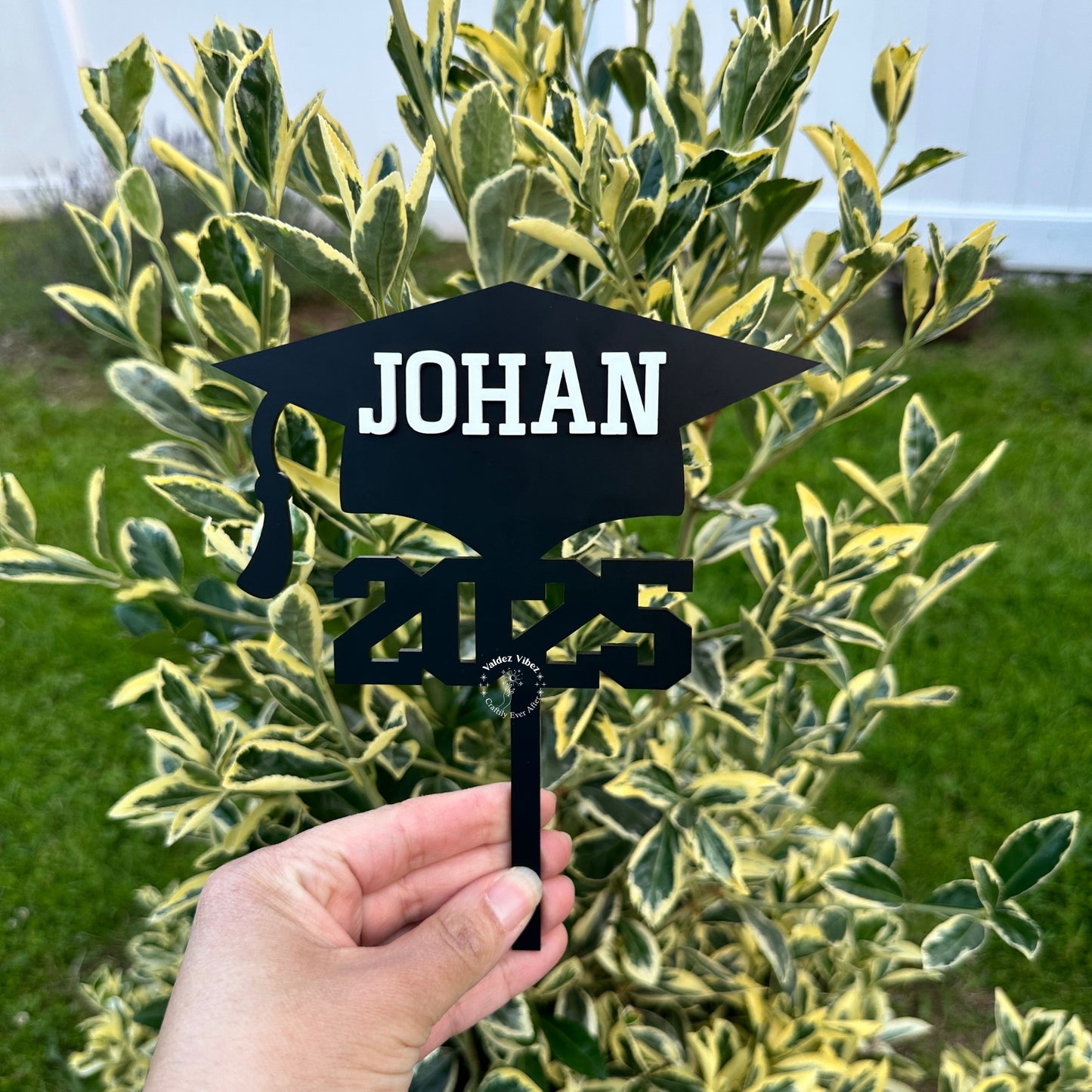 Bundle|Graduation Guestbook Sign & Cake topper|Class of 2025